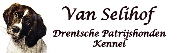 Van Selihof, Drentsche Patrijshondenkennel